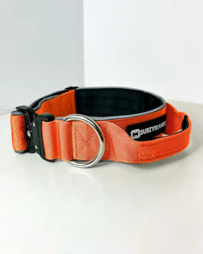 Dog collar discount brands
